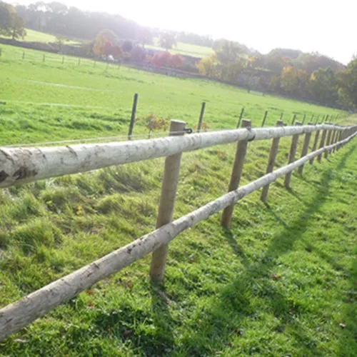 fencing