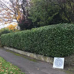 a sign on the side of a road next to a hedge